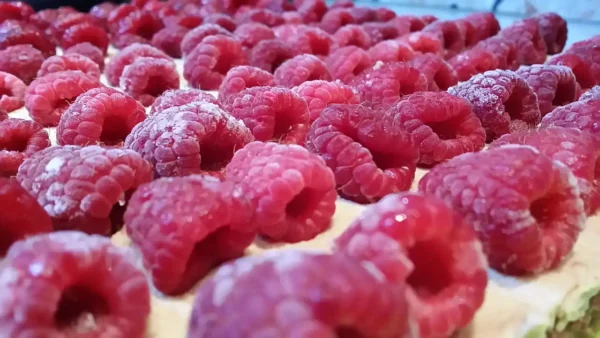 Torta čoko-moko sa malinama | Istaknuta slika 3/4 | Osvežavajući, spoj, slatkog, i, kiselkastog, ukusa