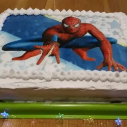 Torta čoko-moko sa malinama