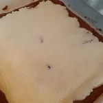 Plazma rolat sa kokosom | Istaknuta slika 3/4 | Dekorativno, ukusno, a, jednostavno