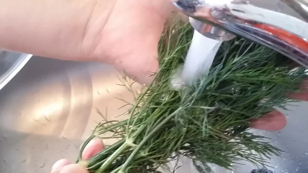 Sos od mirođije | Istaknuta slika 3/4 | Aromatičan, kremast, a, pri, tom, i, odličan, prilog, uz, razna, jela