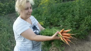 7 raznih priprema šargarepe i zdravstvene prednosti