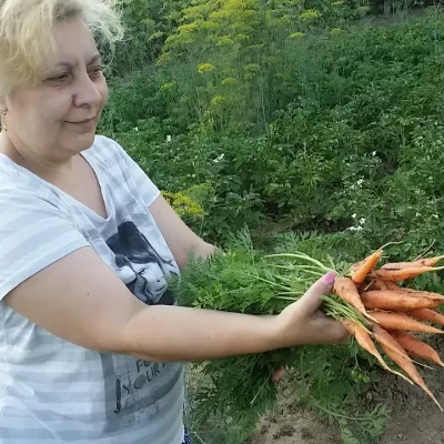 7 raznih priprema šargarepe i zdravstvene prednosti - 5/5 7 raznih priprema šargarepe i zdravstvene prednosti | Istaknuta slika 5/5 |