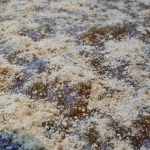 Kolač sa jabukama i džemom od smokve | Završni deo kolača | Postupak 4 | Slika 6/6