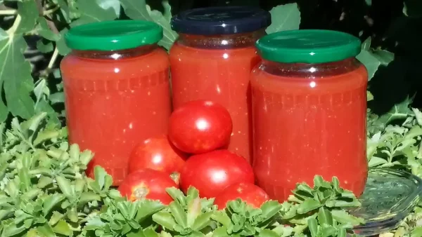 Domaći kuvani paradajz | Istaknuta slika 1/4 | Ključni, sastojak, za, sosove, i, čorbe
