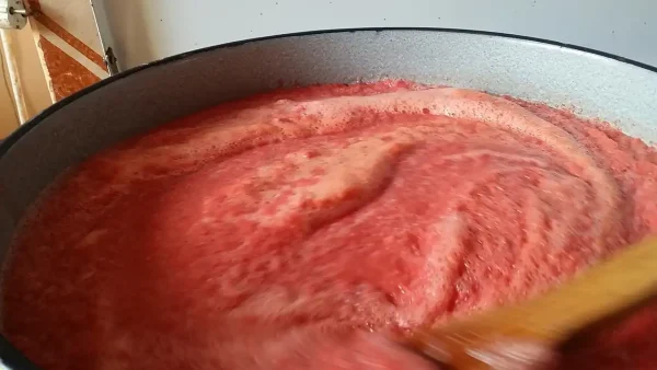 Domaći kuvani paradajz | Istaknuta slika 3/4 | Ključni, sastojak, za, sosove, i, čorbe