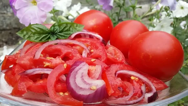 Salata od paradajza i crvenog luka | Istaknuta slika 1/4 | Klasična, osvežavajuća, savršena, za, tople, dane
