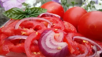 salata od paradajza i crvenog luka