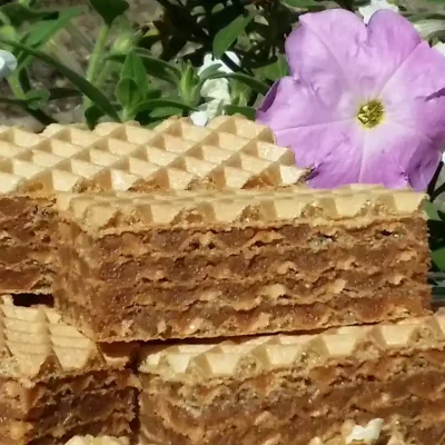 Serviranje | Postupak 5 | Slika 3/3 Oblatne sa čokoladom i keksom | Serviranje | Postupak 5 | Slika 3/3