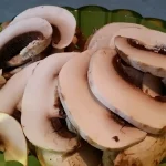 Sos od pečuraka | Priprema povrća | Postupak 1 | Slika 4/4