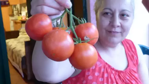 Maja-Obsesija-i-zreo-paradajz